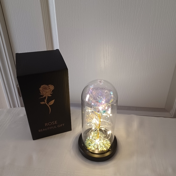 Beautiful Rose Gift - Picture 4 of 8